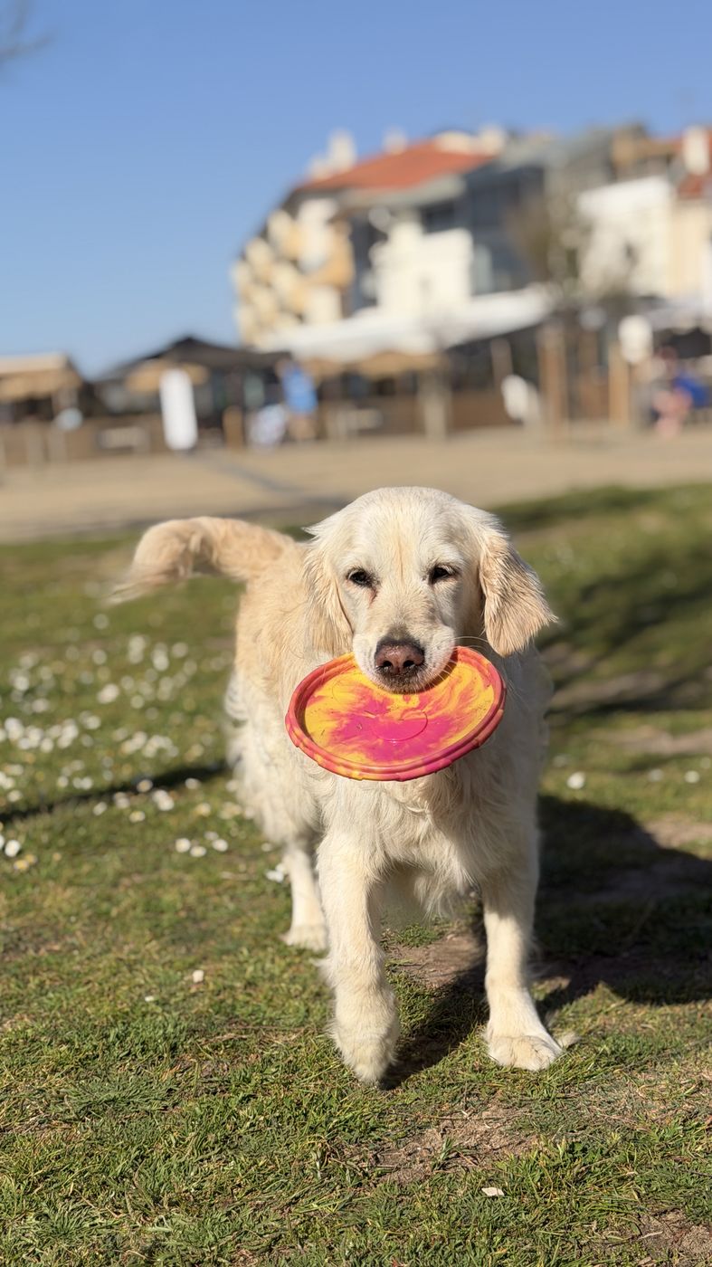 Lily at the beach, eyes closed in the sun